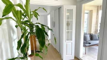 A hallway with a potted plant, white doors, and a view of a balcony with a sofa.