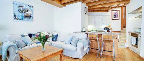 Smart TV, fireplace, books