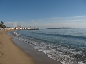 A la platja i gandules de platja 