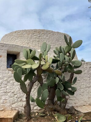 Detalle del exterior