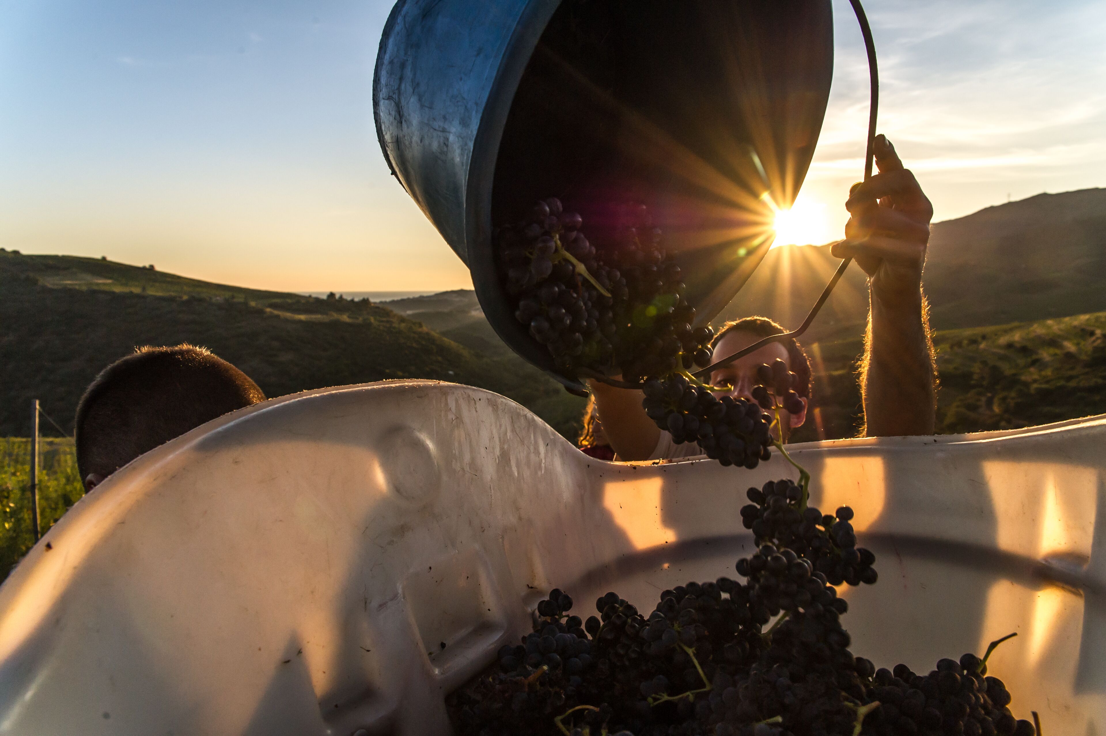 Foto - Villa Camille Hotel & Spa