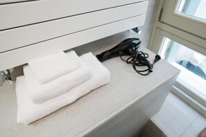 Shower, hair dryer, bidet, towels
