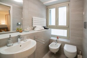 Shower, hair dryer, bidet, towels