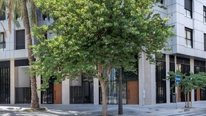 A modern building with a tree-lined entrance, a taxi sign, and a gated driveway.