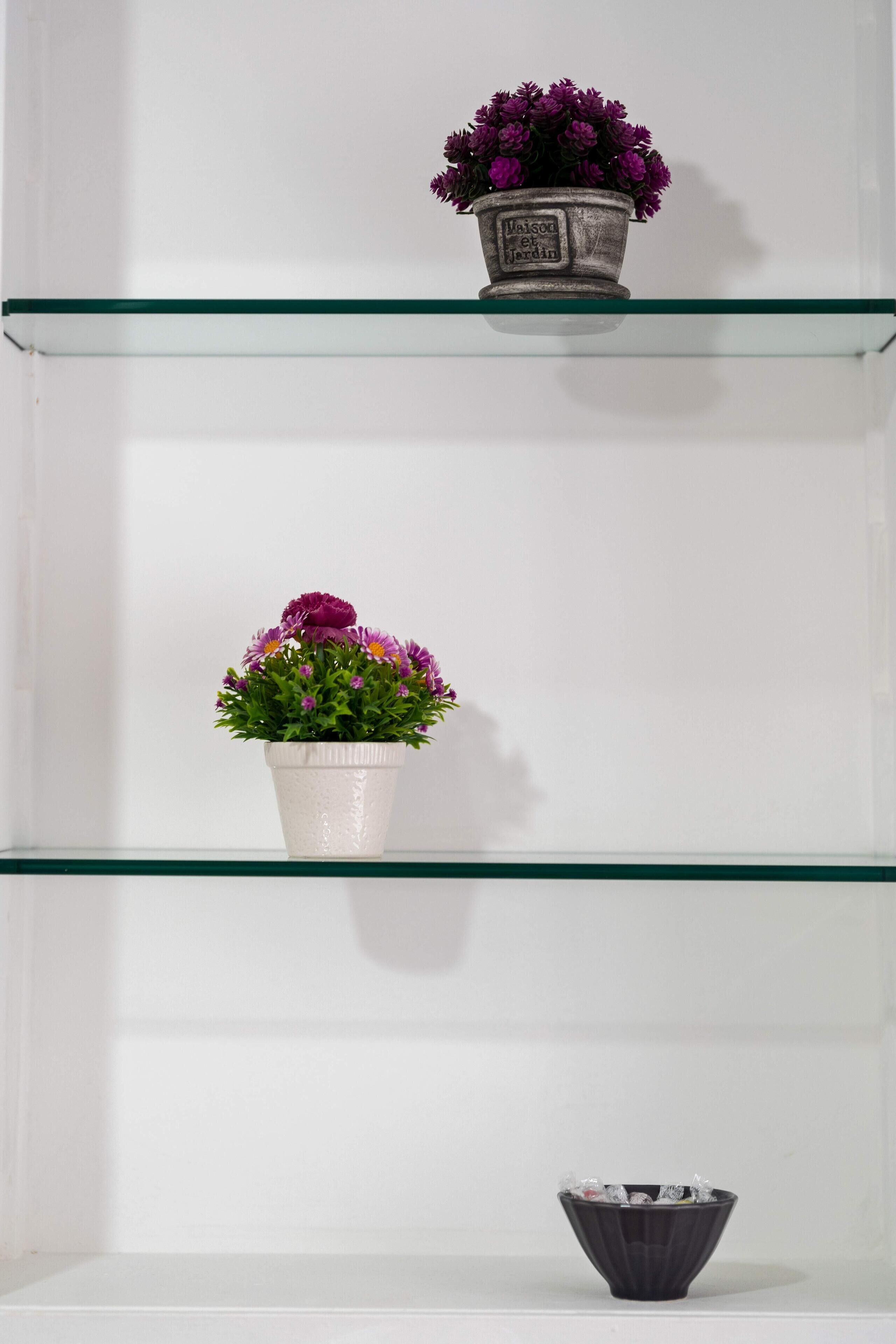 Two glass shelves with potted plants and a small bowl.