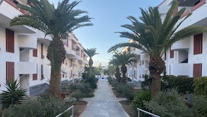A corridor lined with palm trees and a pathway leading to a pool area. - 2 BED DUPLEX APARTMENT IN THE HEART OF LAS AMERICAS (Playa Delas Americas)