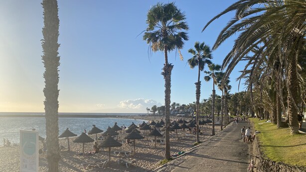 A beach with palm trees, umbrellas, and a stone wall. - 2 BED DUPLEX APARTMENT IN THE HEART OF LAS AMERICAS (Playa Delas Americas)