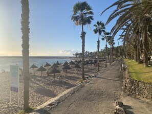 Une plage bordée de palmiers, avec des parasols et un mur de pierres.