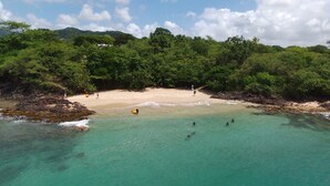A beach with clear turquoise waters, a sandy shore, and dense green foliage in the background. - Alexandra TURQUOISE (Le Diamant)