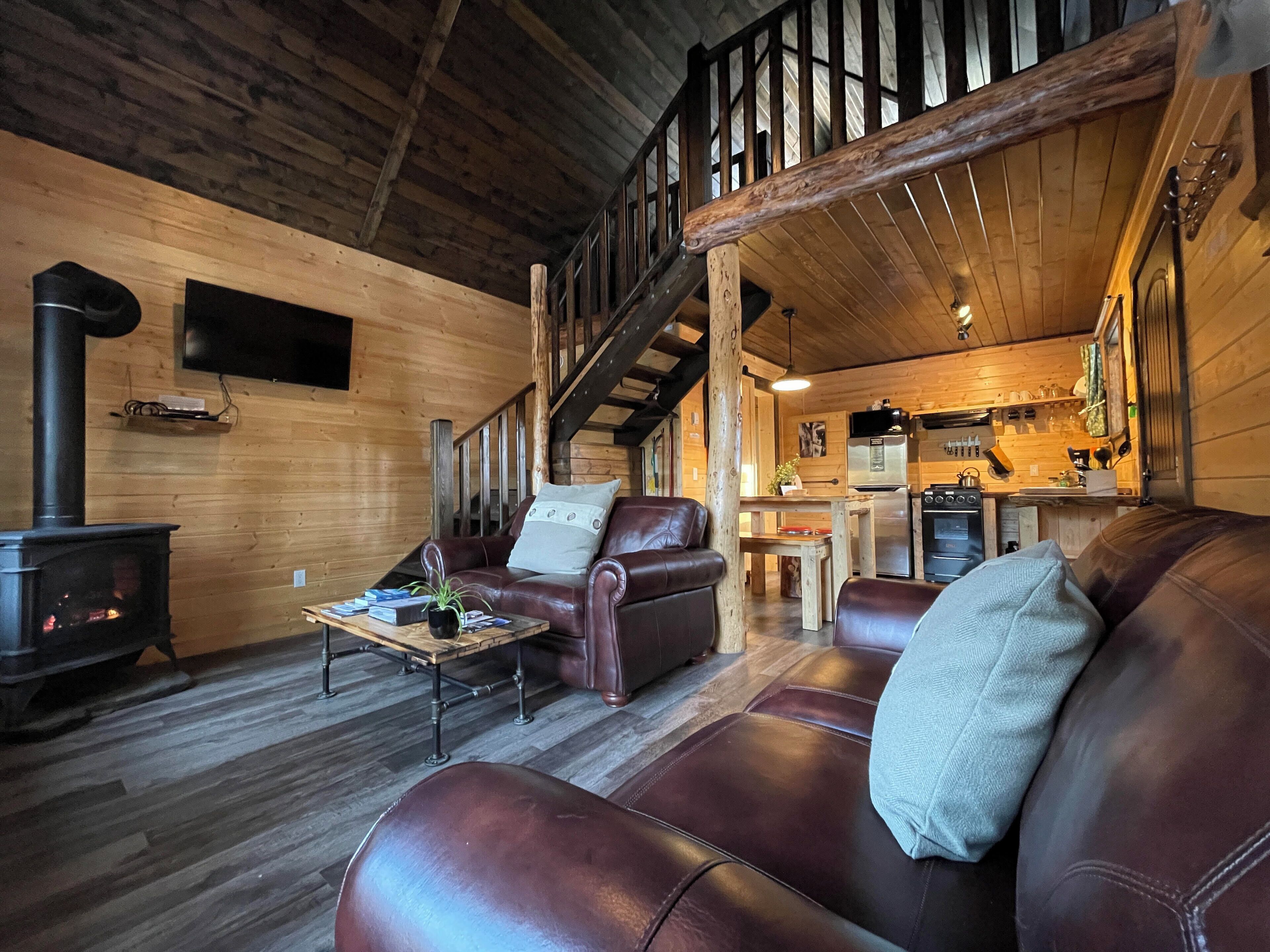 TV, fireplace, DVD player, video library