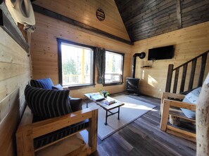 TV, fireplace, DVD player, video library