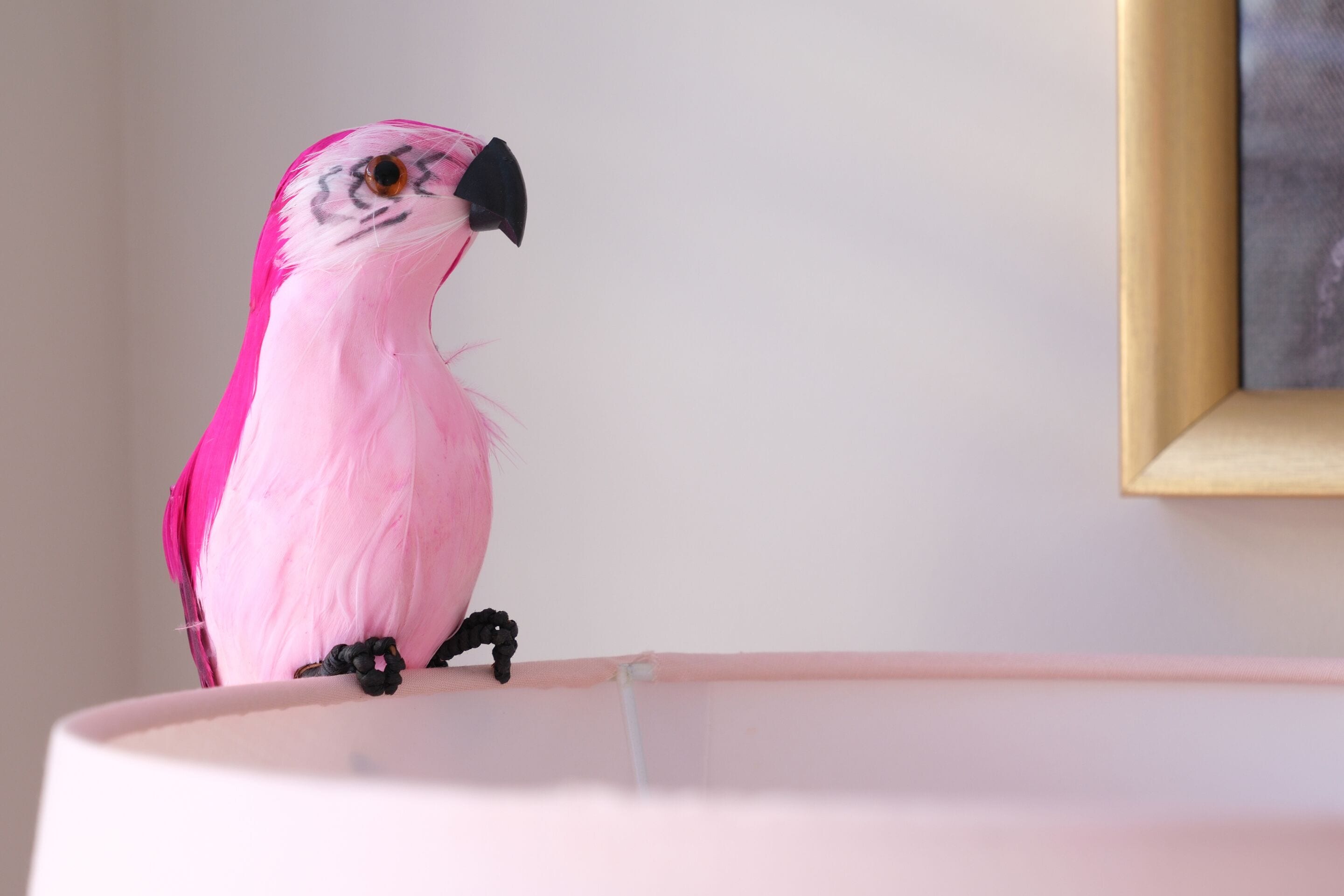 Un pappagallo rosa appollaiato su una superficie bianca.