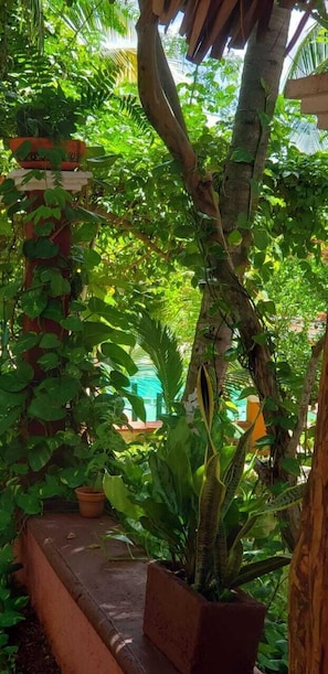 Exterior - HOTEL SAAKLUUM RUTA PUUC (Sacalum)