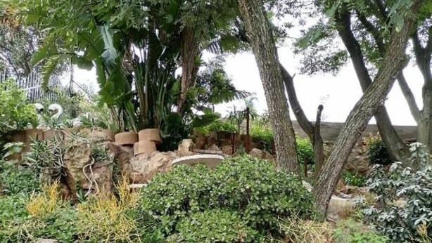 A garden with various plants and trees, a rock formation, and a wooden fence. - SkyView, a spacious modern cottage. (Johannesburg)