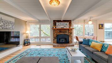 TV, fireplace, books