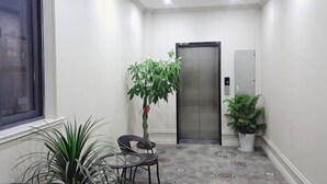 Un couloir étroit avec un pot de fleurs, une chaise et un ascenseur.