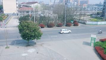 A street view with a white car, a tree, and a green sign.