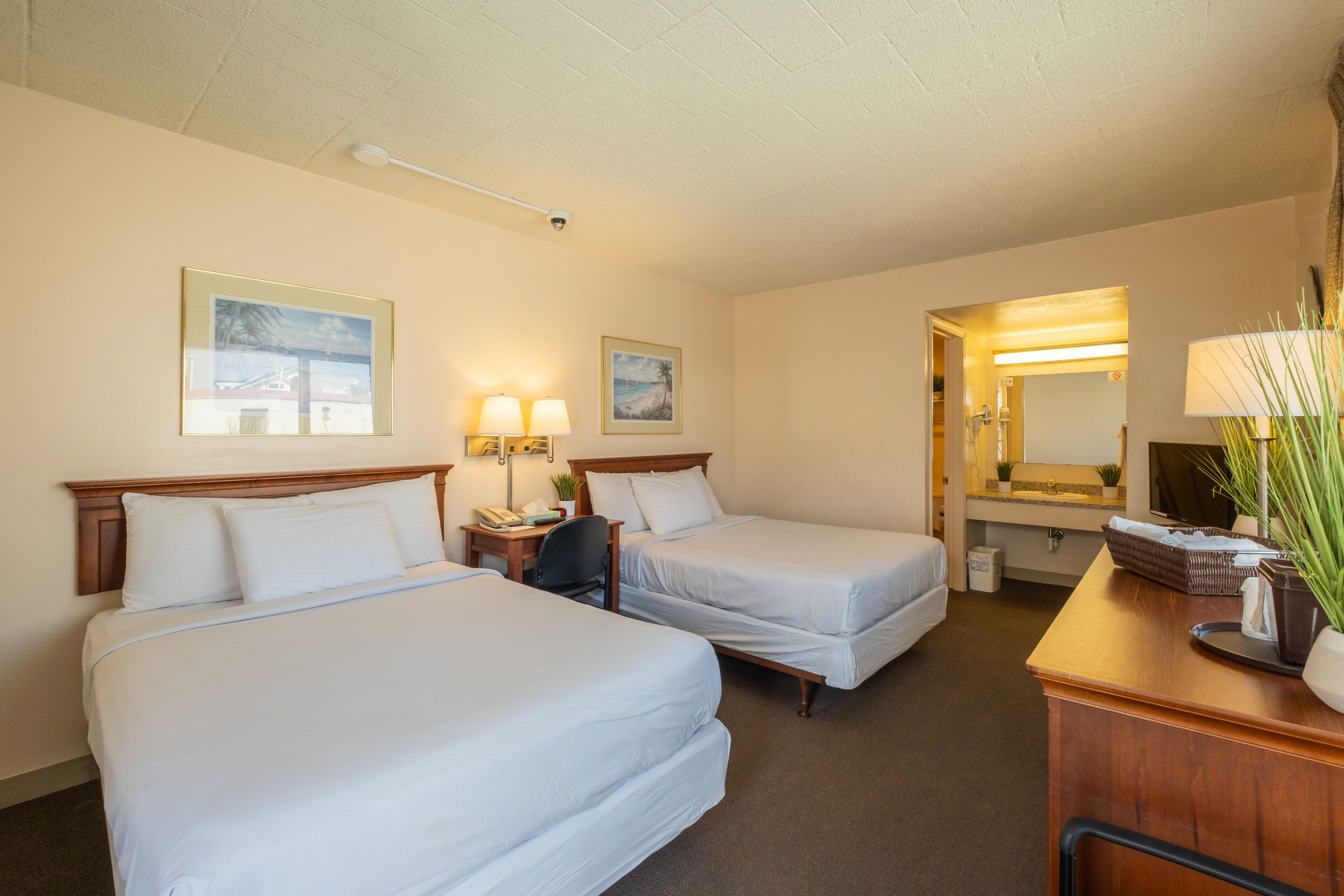A hotel room with two beds, a desk with a lamp, a mirror, and a plant.