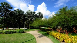 Ein Weg durch einen Park mit Palmen und blauem Himmel.