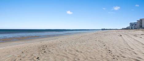 Playa en los alrededores 