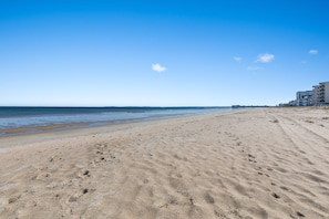 Playa en los alrededores