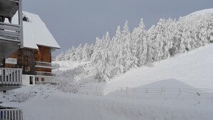 Esterni