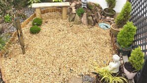 A garden with a wooden bench, a small pagoda, and various potted plants. - Only 4 miles from Westward Ho. (Littleham, near Bideford)