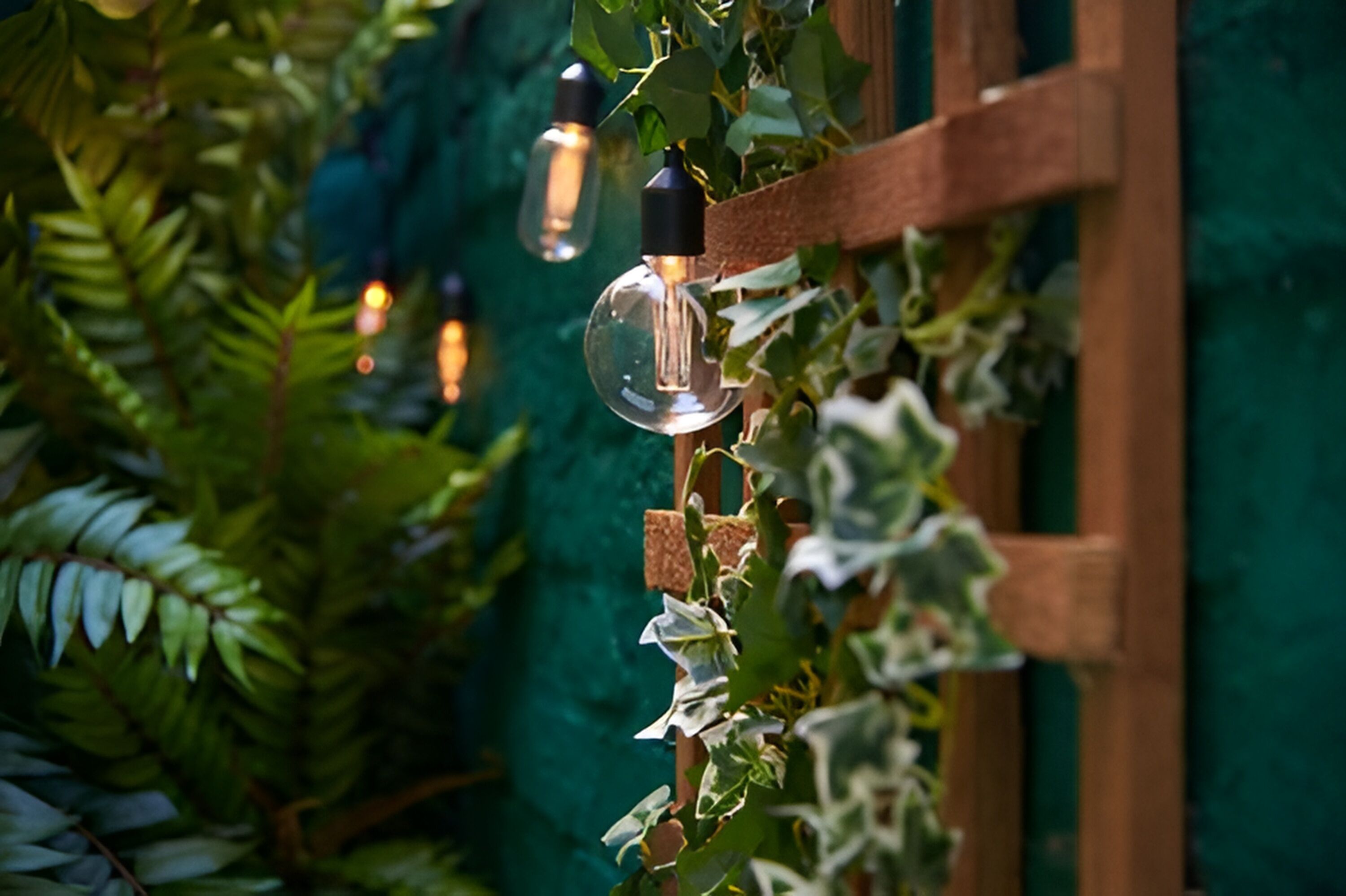 Foto - Home at 2 Tancred Road Anfield