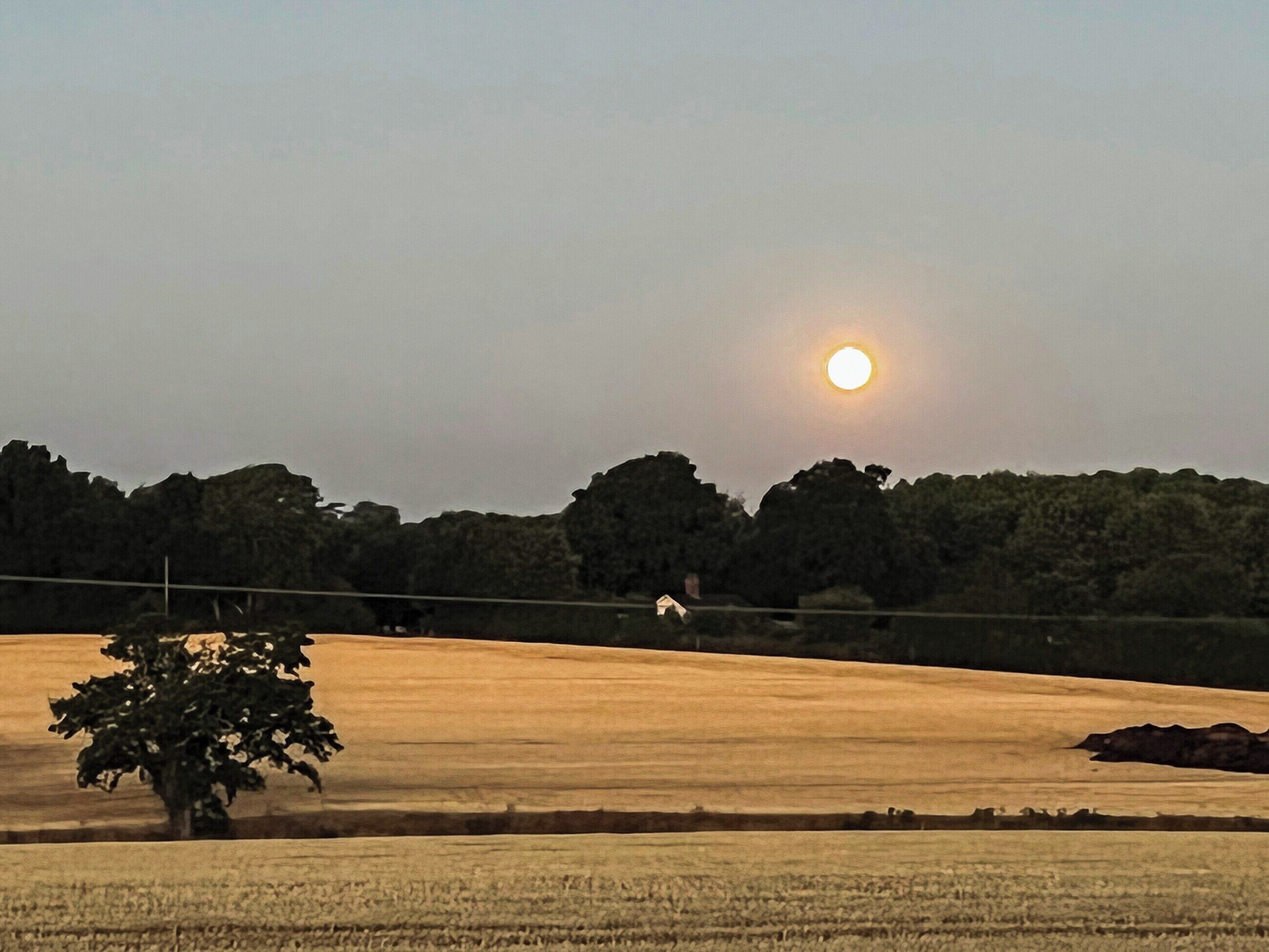 Un paysage rural avec un champ, un arbre et une maison au loin.