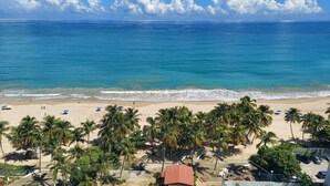 A beach with palm trees, a sandy shore, and a view of the ocean. - Mb17- One Bedroom with Ocean Front Balcony (Carolina)