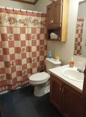 Hair dryer, towels, toilet paper