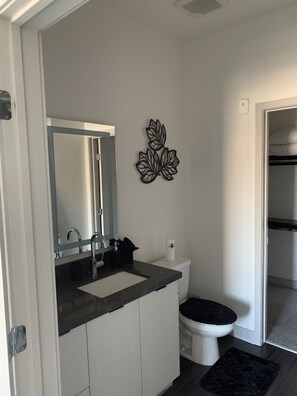 Ein modernes Badezimmer mit einem weißen Waschbecken, einer schwarzen Arbeitsplatte und einem WC mit schwarzem Sitz.