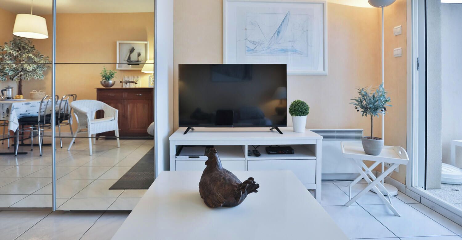 TV