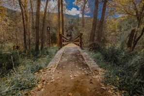 Property grounds - Upstairs King Suite w/ shared deck - 2 (Taos County)