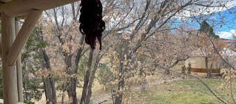 Family room w/ Mountain View - 12