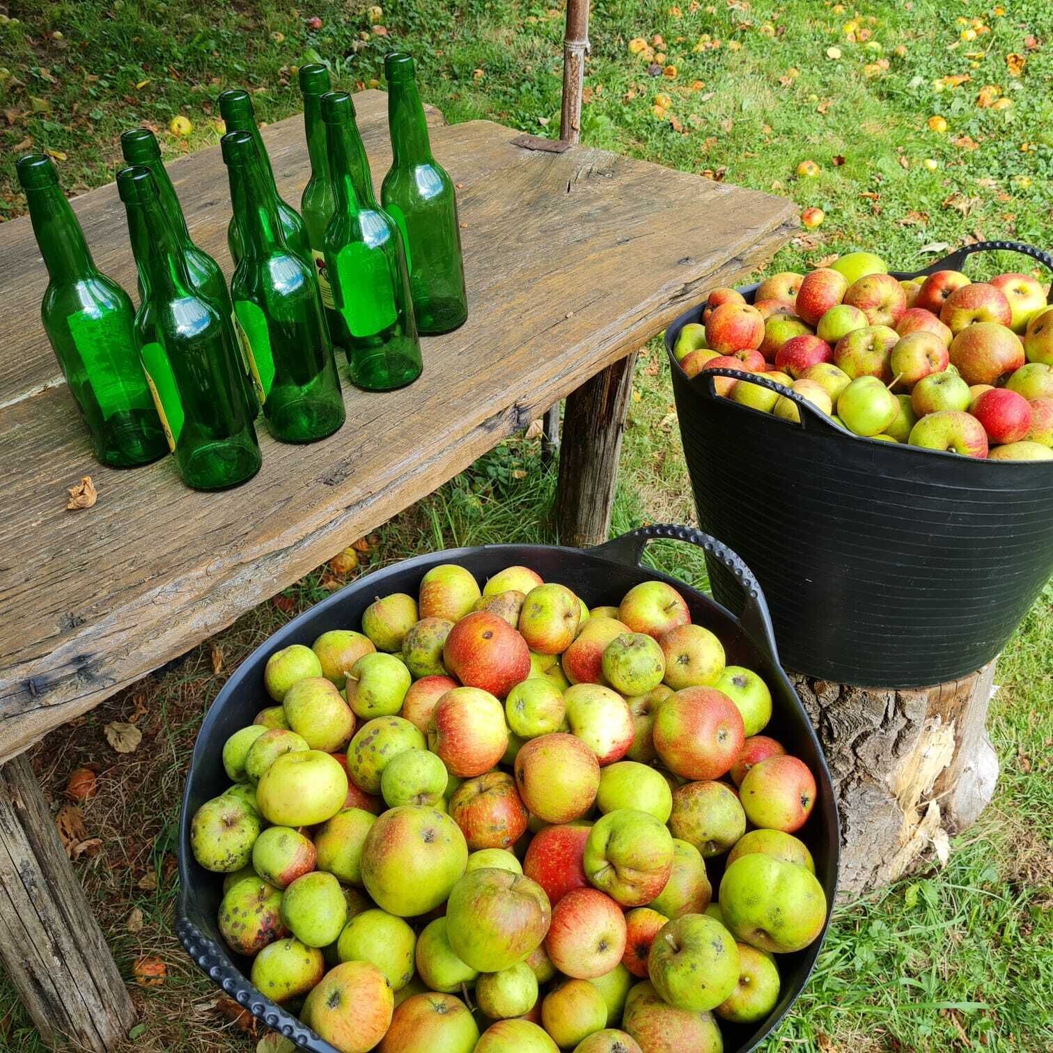 Foto - La Figal de Xugabolos, Salas