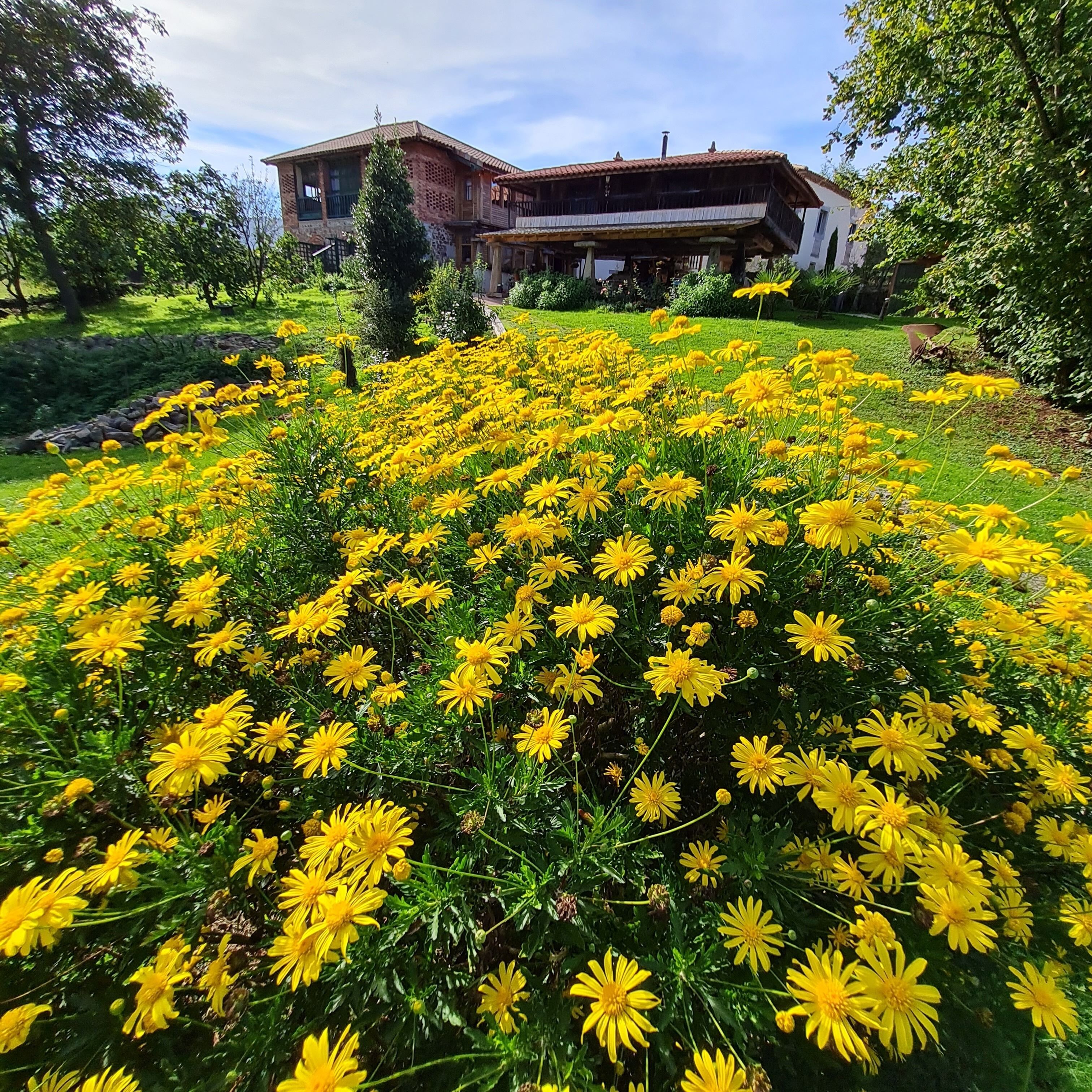 Foto - La Figal de Xugabolos, Salas