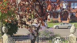 Outdoor seating with tables and chairs, surrounded by decorative plants and a stone pathway. - Elegant Garden-Level Apt, Beautiful Marble Spa Bath, City Center! 96 Walk Score! (Denver)