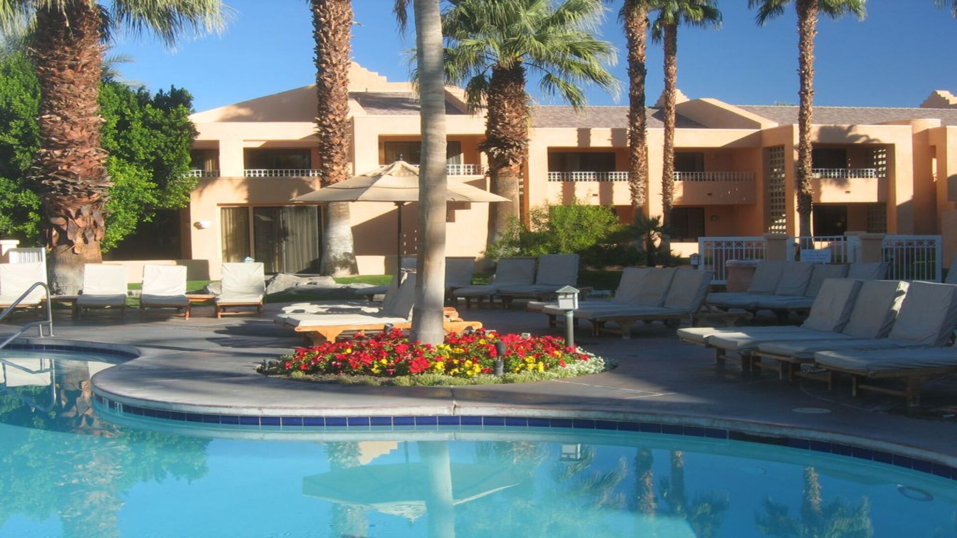 A pool area with lounge chairs, a palm tree, and a building with balconies in the background.