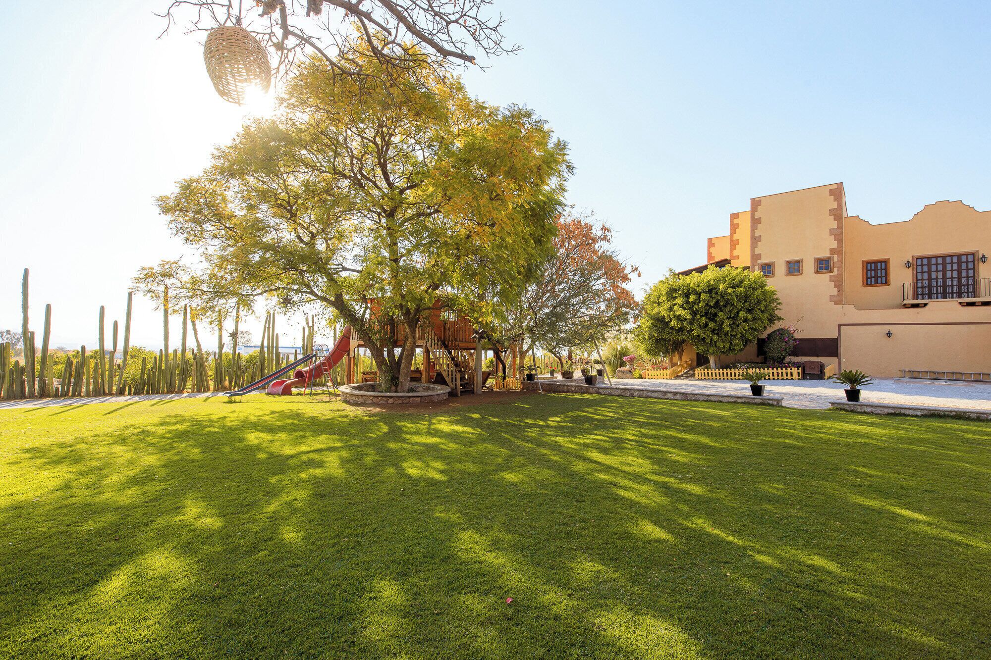 Zona verde bien cuidada con un parque infantil, que incluye un tobogán, rodeada de cactus y árboles.