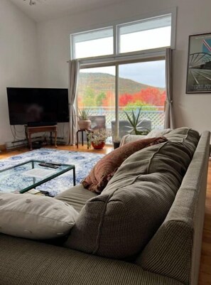 Smart TV - Mountain View Minutes to Hunter/Windham Fast Wifi (East Jewett)