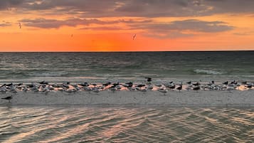 Hus - 3 sovrum | Strand