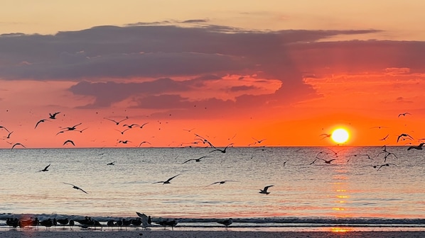 Hus - 3 sovrum | Strand