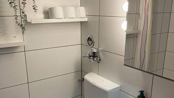 Dusche, Handtücher, Seife, Toilettenpapier