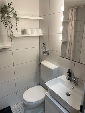Shower, towels, soap, toilet paper