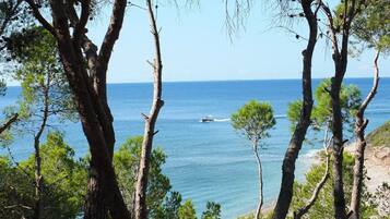 Una playa cerca
