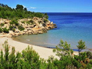 Un paysage côtier caractérisé par une plage de sable, des falaises rocheuses et une végétation luxuriante.