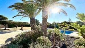 A landscaped area with palm trees, a pool, and a stone pathway.