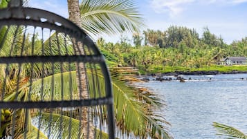 A coastal view with palm trees, a house, and a calm sea.
