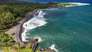 Paisagem costeira com praia, ondas do oceano e vegetação densa.